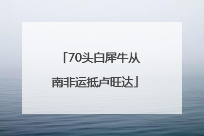 70头白犀牛从南非运抵卢旺达