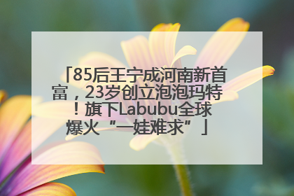 85后王宁成河南新首富，23岁创立泡泡玛特！旗下Labubu全球爆火“一娃难求”