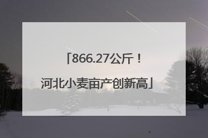 866.27公斤！河北小麦亩产创新高